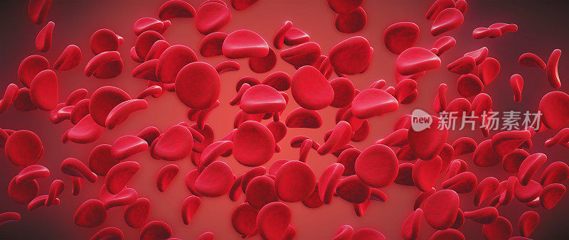 红细胞在血浆中被放大的一组红细胞