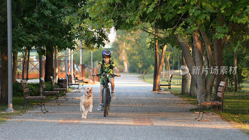 小男孩骑着自行车和他的金毛猎犬在公园里