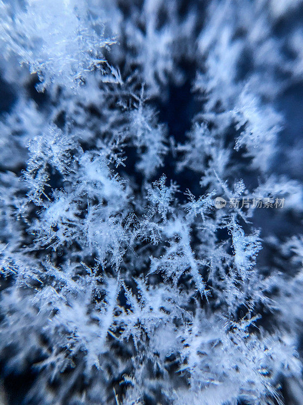 雪花的背景