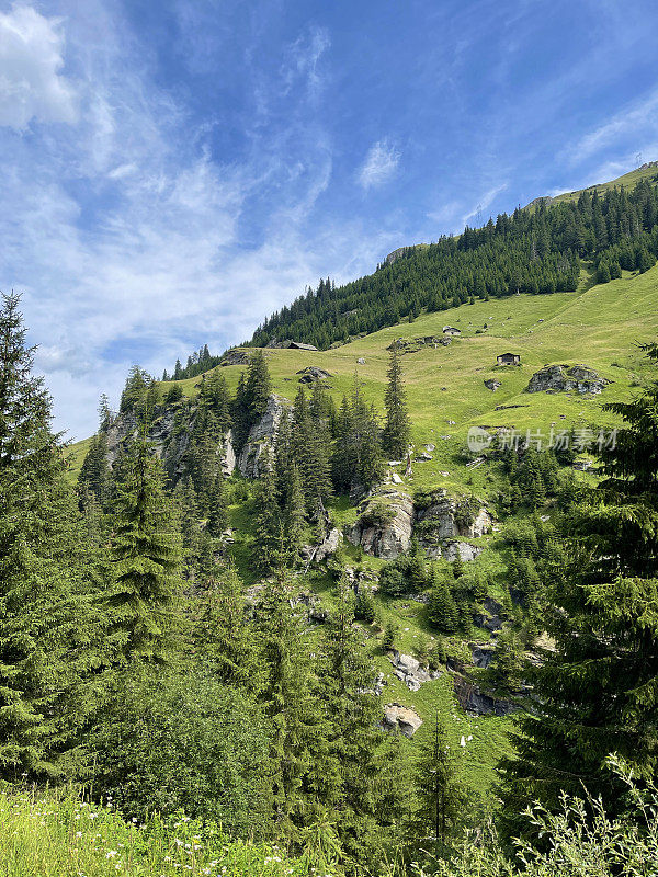 景观Graubünden，瑞士