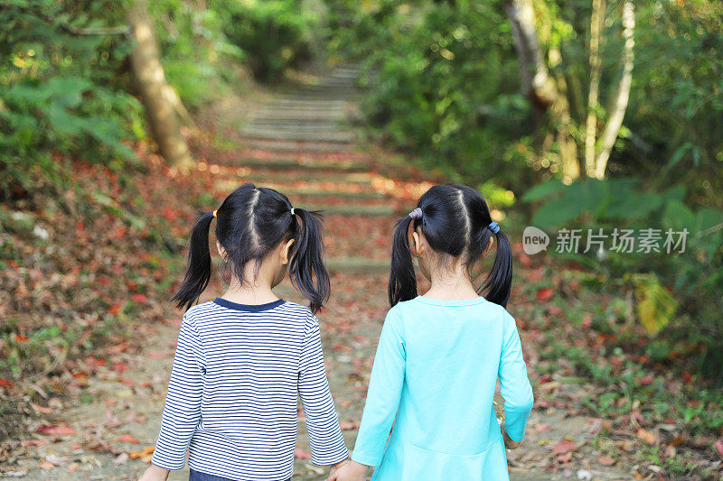 女孩们在森林里玩桐花和枯叶。