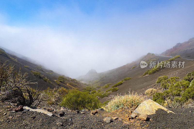 泰德国家公园，拉皮利斜坡。多色火山岩。特内里费,加那利群岛。雾漫山。