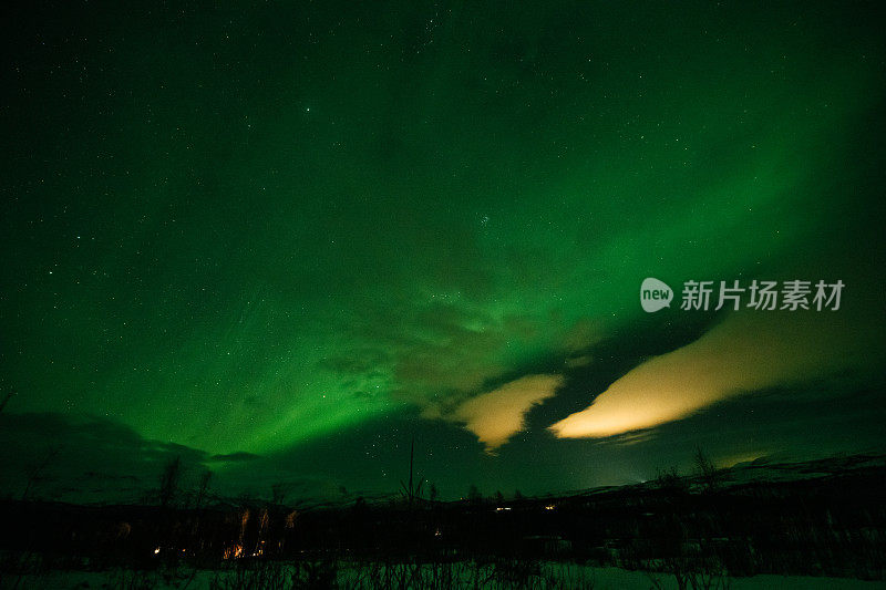 北极光在夜空中，山峦和云杉的轮廓