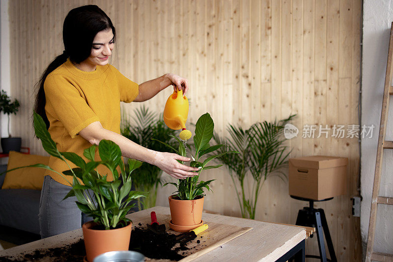 年轻的白人妇女在家照顾她的植物