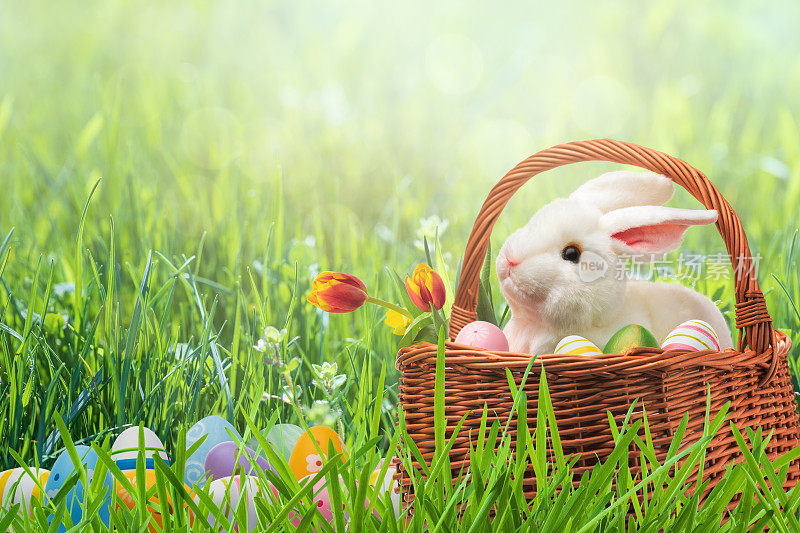 篮子里的复活节兔子，还有装饰好的彩蛋。