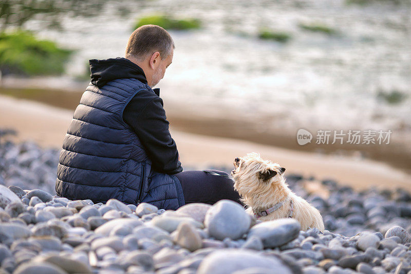 男人带着狗在沙滩上休息