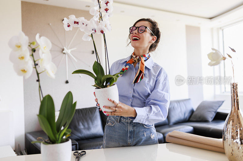 家庭主妇照料着家里的花草，五颜六色的蝴蝶兰。照顾家庭植物的女人。捧着白花的园丁