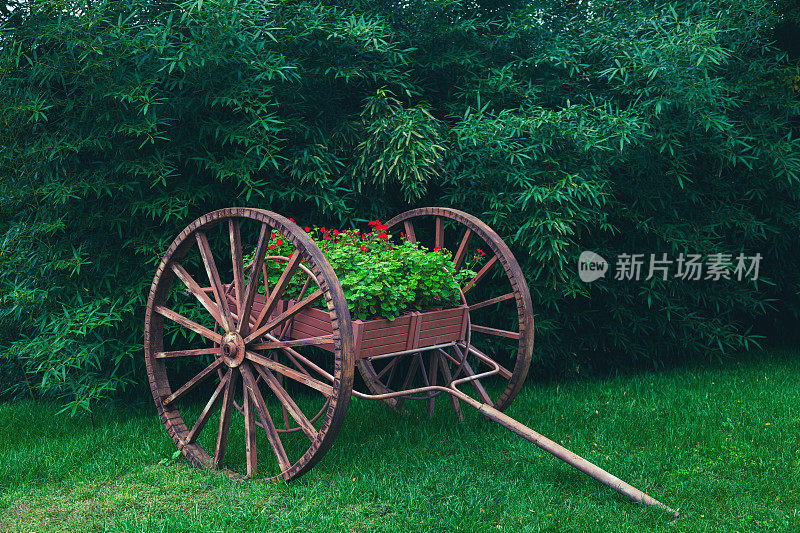 花园里装饰着鲜花的木制古董车