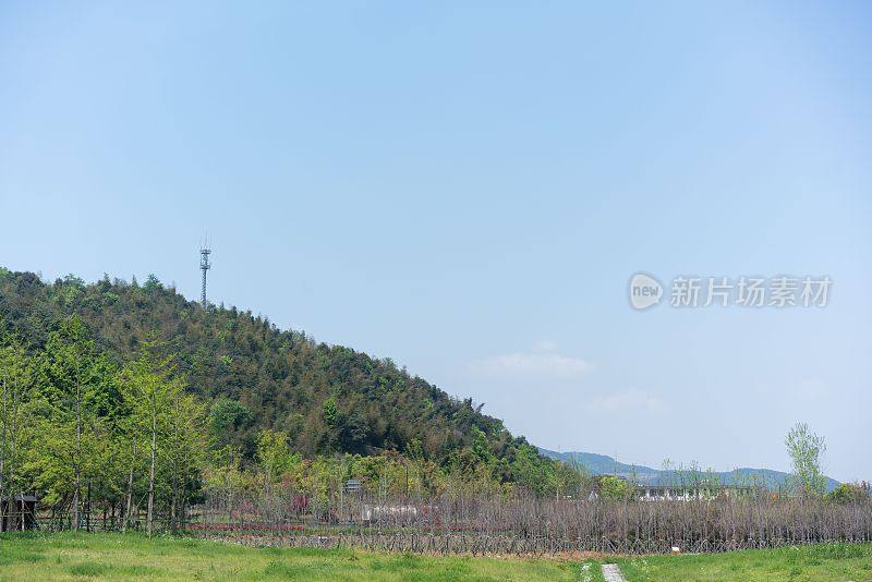 中国绍兴的绿地，背景是绿色覆盖的山