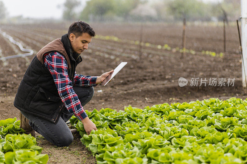 年轻的农民在他的农田里使用现代技术