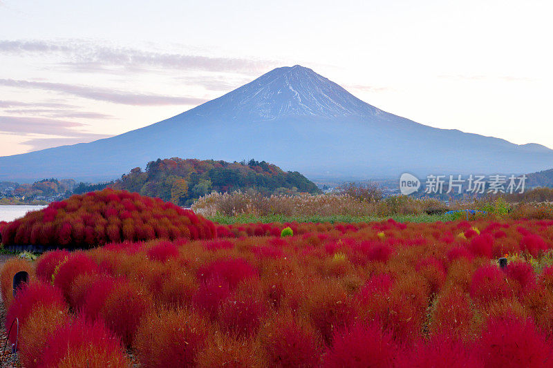 山梨县川口湖畔的富士山和五彩缤纷的高山