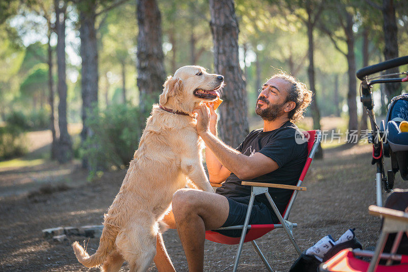 成熟男人和他的狗金毛猎犬在森林里大自然。