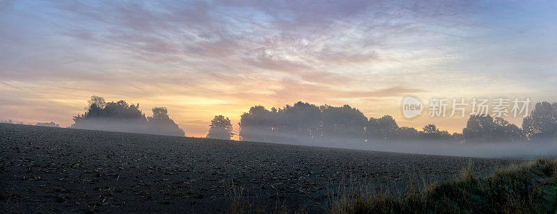 清晨的雾笼罩着田野，映衬着树木和美丽的日出