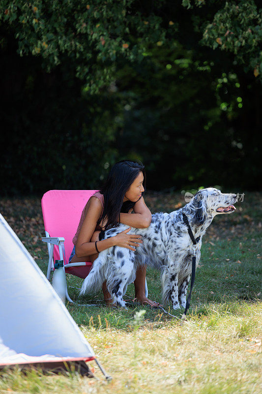 英国塞特犬在大自然中与主人坐在一起