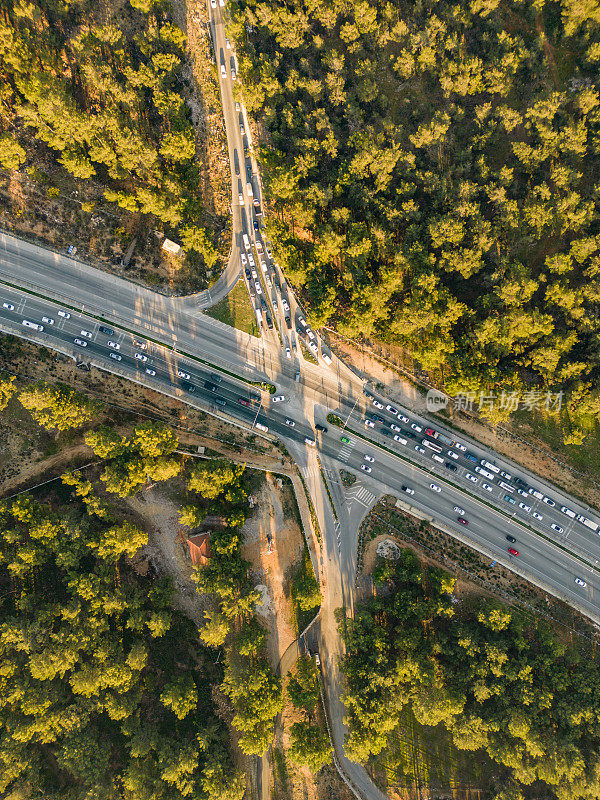 鸟瞰林地和公路。