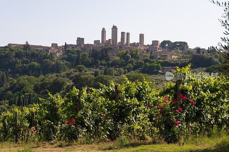 意大利托斯卡纳圣吉米尼亚诺村的景色。圣Gimignano