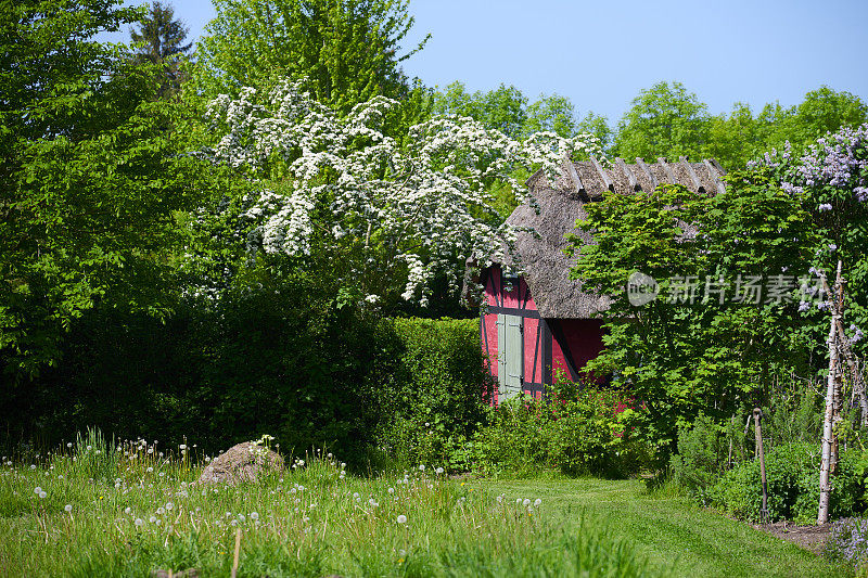 花园中的小红房子