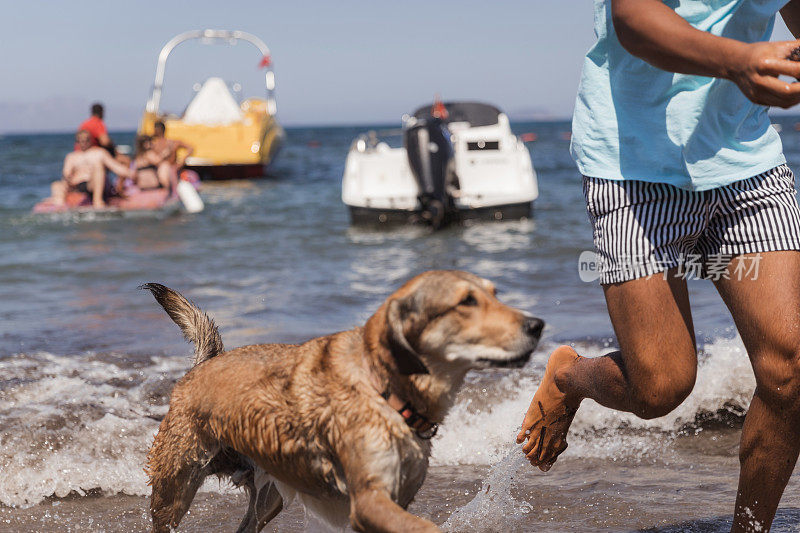狗和主人一起跑过大海