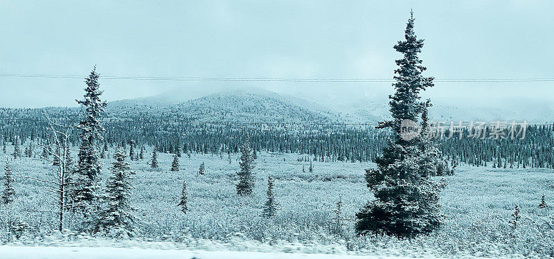 第一场雪——阿拉斯加