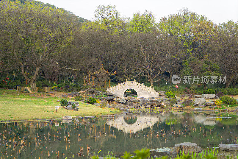 武汉东湖樱花园宁静的湖畔景色。