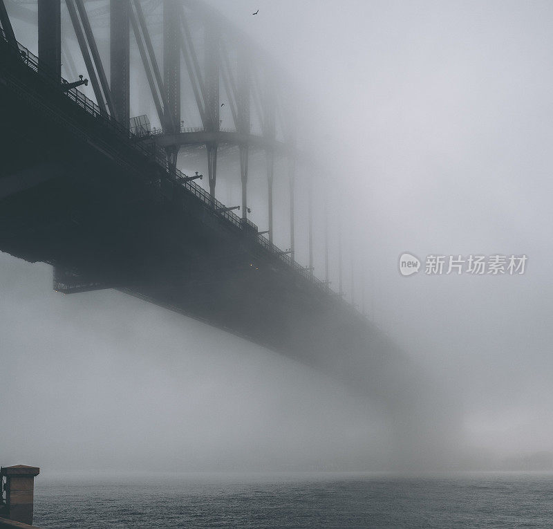 浓雾笼罩着悉尼海港大桥