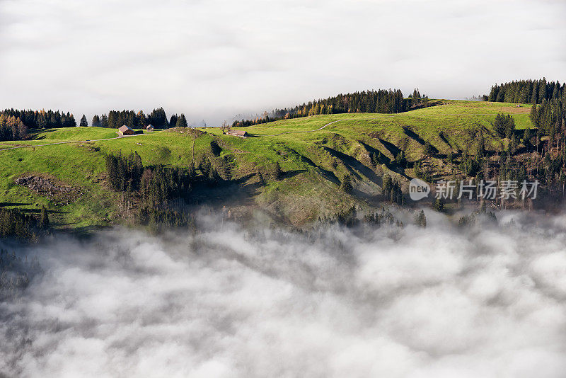 在瑞士Hundwilerhöhe附近的阿彭策尔阿尔卑斯的雾海