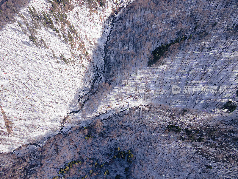 冬季的空中飞行在白雪覆盖的林地上。在山上滑雪度假。