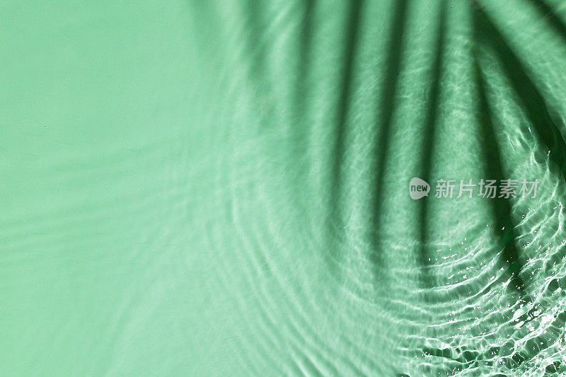 绿色的水纹理与涟漪，在阳光下透明。背景为化妆品或水疗概念背景。本空间