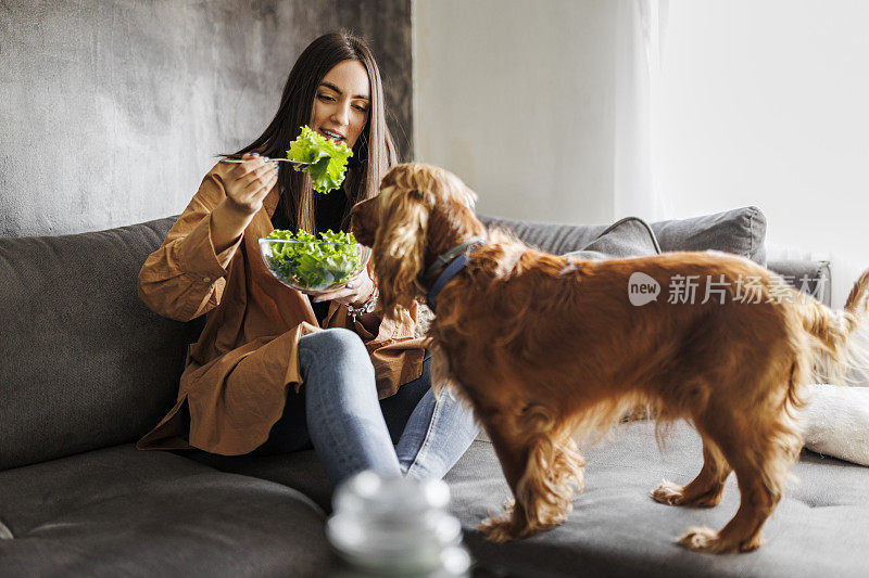 一个女人在家享受休息，吃着健康的蔬菜沙拉。她的狗也希望得到一些。