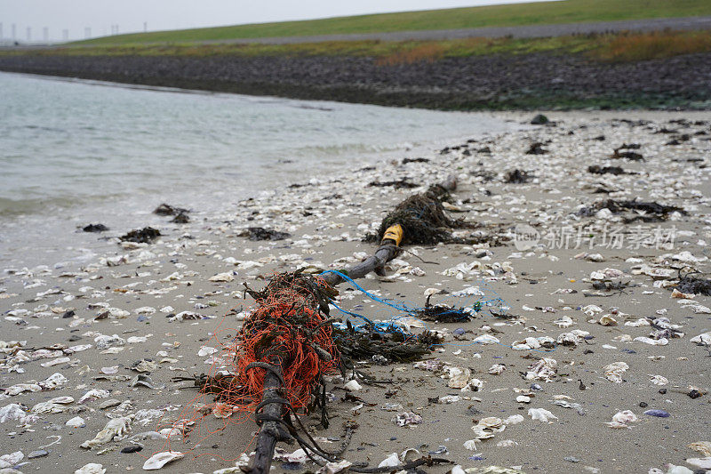Oosterschelde海滩上的塑料垃圾