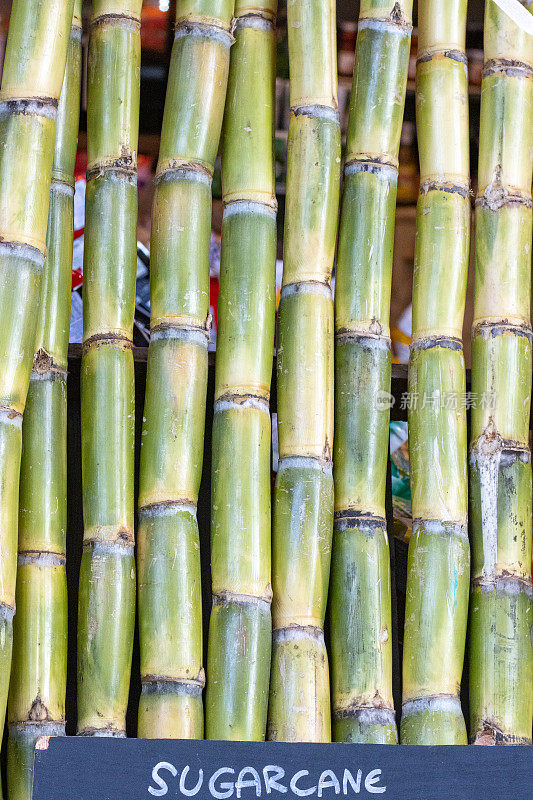 伦敦萨瑟克区博罗市场的甘蔗