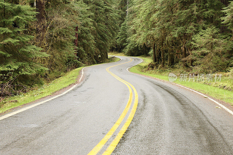 奥林匹克国家公园蜿蜒的道路