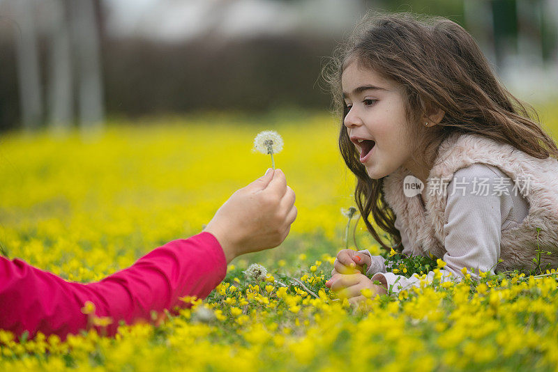 学龄前女孩与母亲在花园里玩蒲公英的特写照片