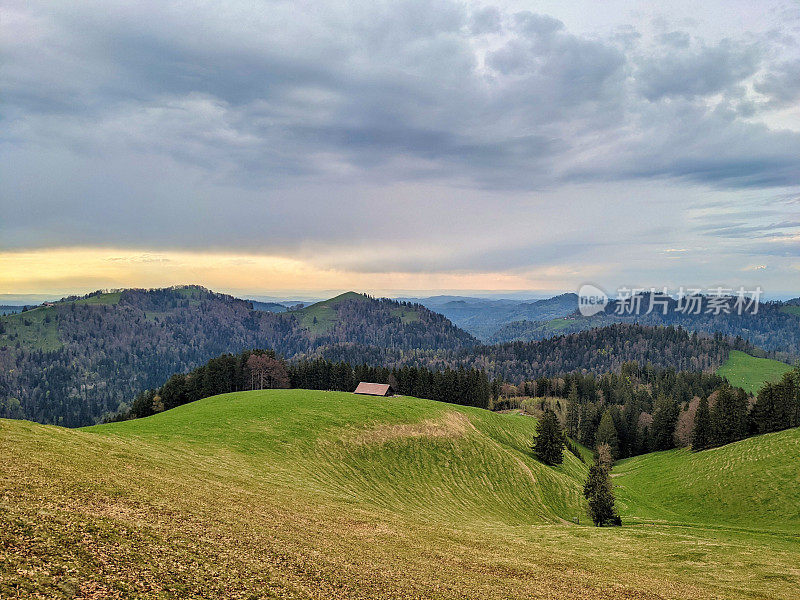 瑞士山区的山。大片的绿色田野被大片的森林包围着。