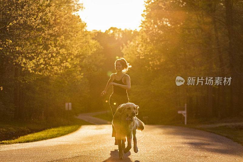 快乐的年轻女子与家庭宠物金毛猎犬在明亮的金色阳光下奔跑