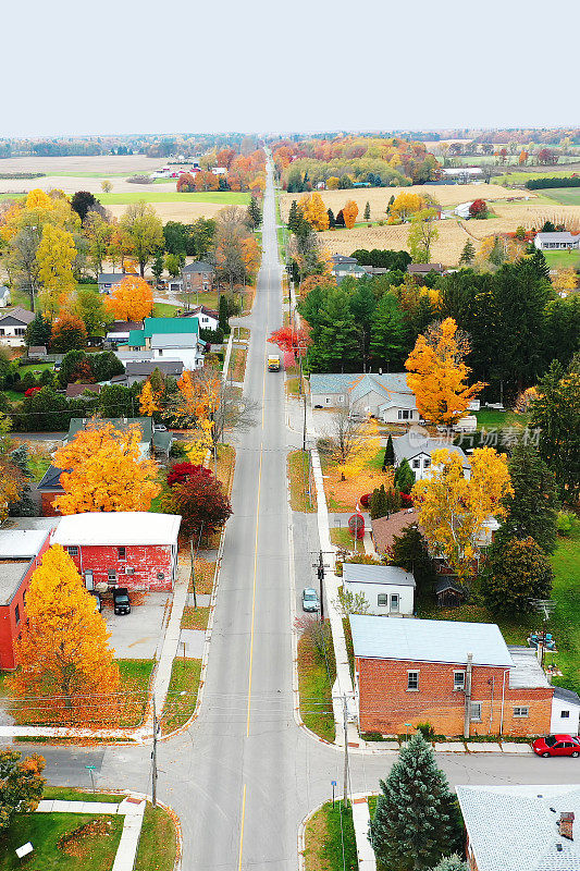 秋天加拿大安大略省维托里奥的空中垂直图