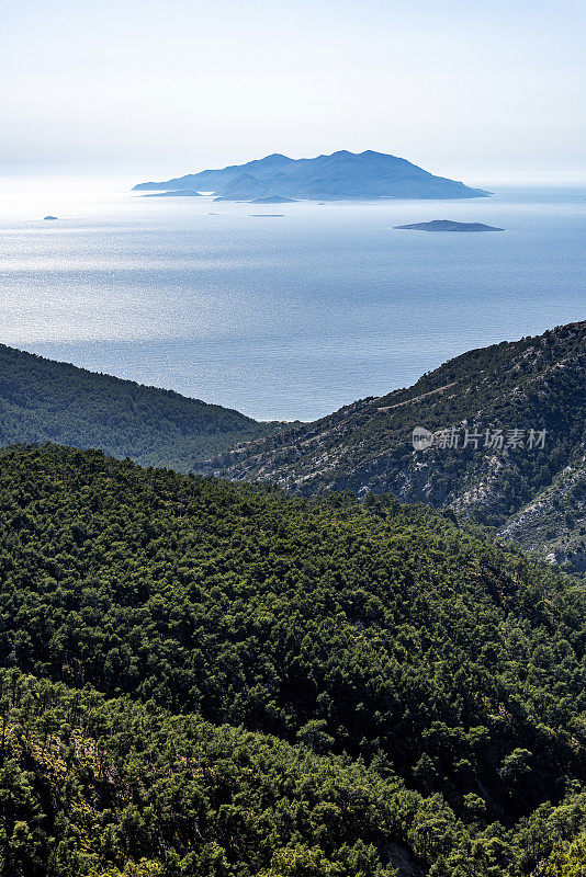 一棵松树，山，海和岛屿从罗德岛，希腊