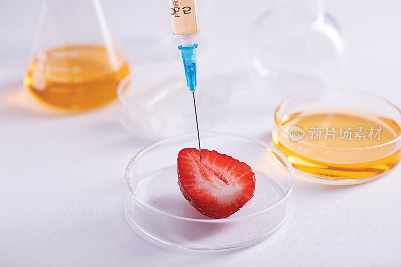 实验室里DNA提取实验用注射器戳草莓切片的特写镜头