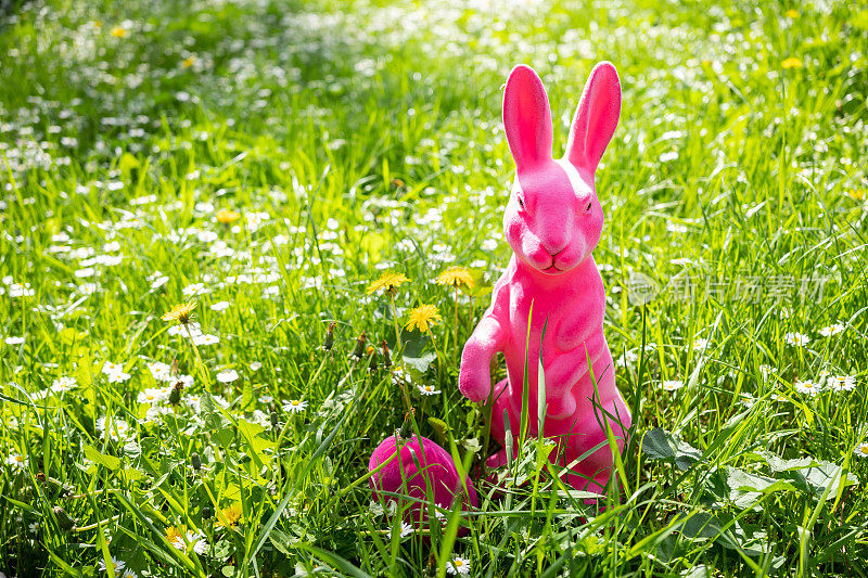 一只粉红色的兔子在花丛中的草地上。复活节的概念。
