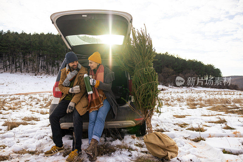 在寻找完圣诞树后，一对年轻夫妇坐在汽车后备箱里喝茶休息