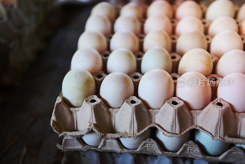 鲜蛋白鸭蛋盒——产自有机农场的新鲜鸡蛋