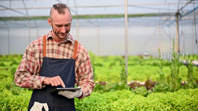 快乐的白人男性农场主用平板电脑检查温室的水系统