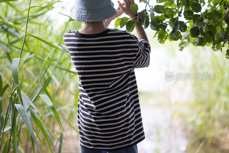 小男孩在湖边的码头上