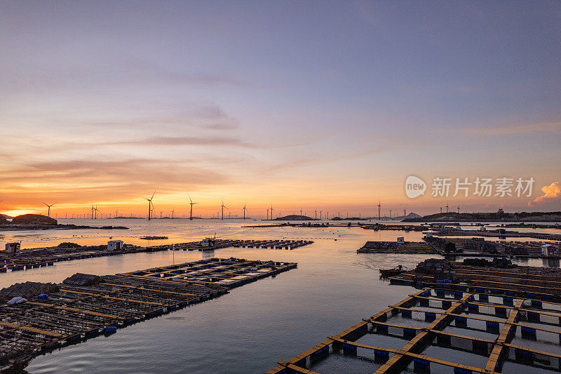 夕阳下漂浮在海上的水产养殖场