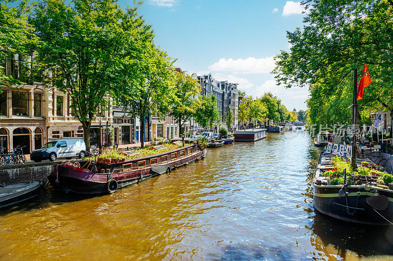 荷兰阿姆斯特丹的运河:晴天里的船、树和窄屋。