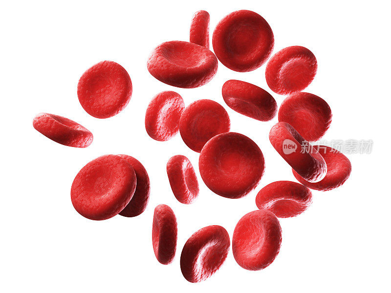 人类红细胞的显微图片