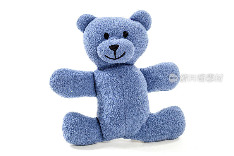 蓝色的泰迪熊
