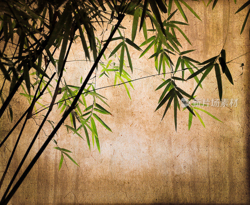 竹子在复古纹理的深褐色背景