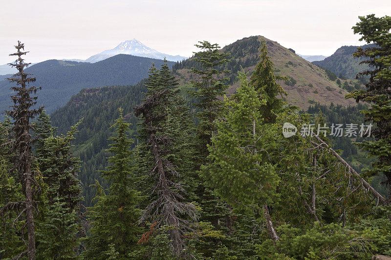 山森林草地杰佛逊山俄勒冈西部烟雾地平线