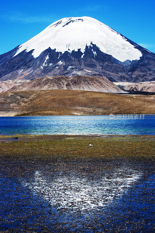 Parinacota火山